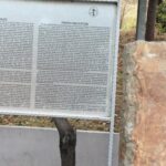 teos korsan saldırısı